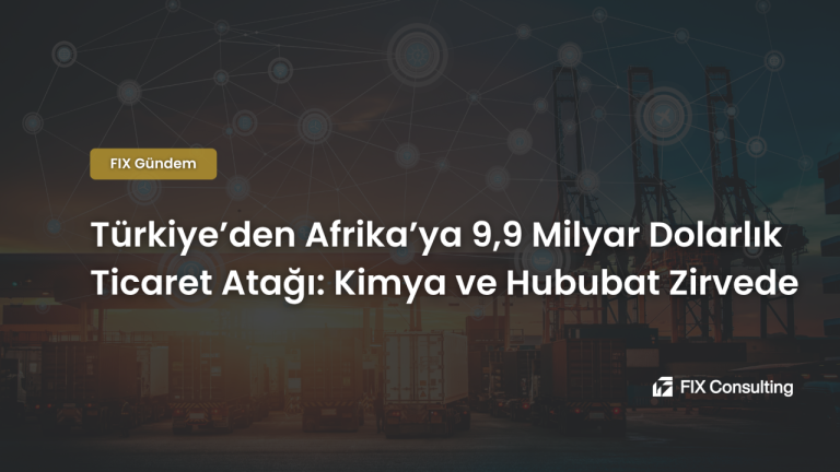 Türkiye'den Afrika'ya 9,9 Milyar Dolarlık Ticaret Atağı: Kimya ve Hububat Zirvede