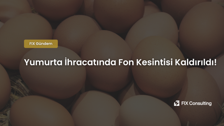 Yumurta İhracatında Fon Kesintisi Kaldırıldı