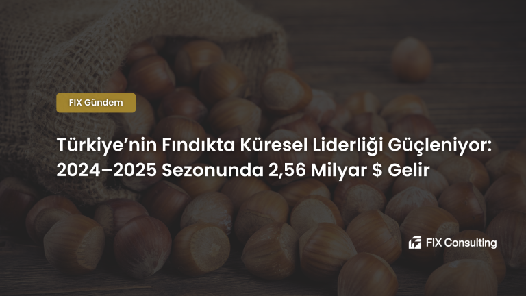 Türkiye'nin Fındıkta Küresel Liderliği Güçleniyor: 2024–2025 Sezonunda 2,56 Milyar $ Gelir