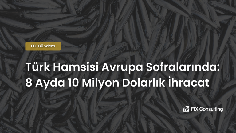 Türk Hamsisi Avrupa Sofralarında: 8 Ayda 10 Milyon Dolarlık İhracat