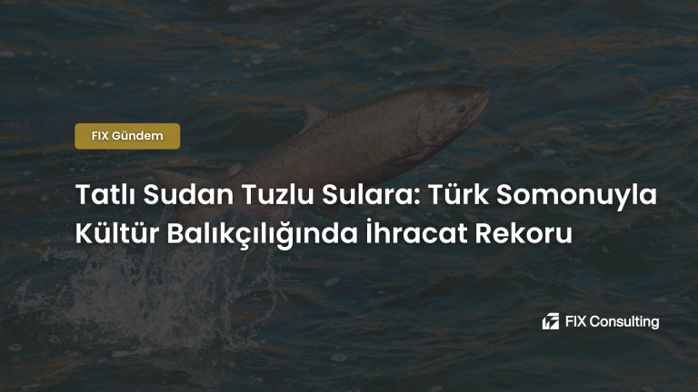 Tatlı Sudan Tuzlu Sulara: Türk Somonuyla Kültür Balıkçılığında İhracat Rekoru