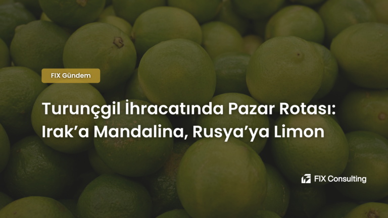 Turunçgil İhracatında Pazar Rotası: Irak'a Mandalina, Rusya'ya Limon