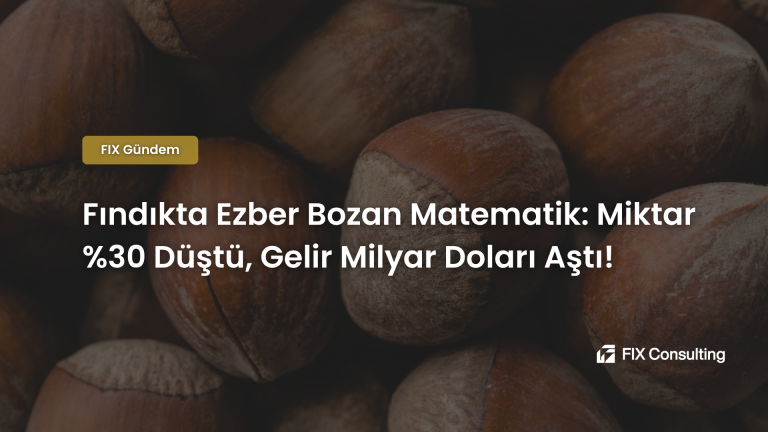 Fındıkta Ezber Bozan Matematik: Miktar %30 Düştü, Gelir Milyar Doları Aştı!