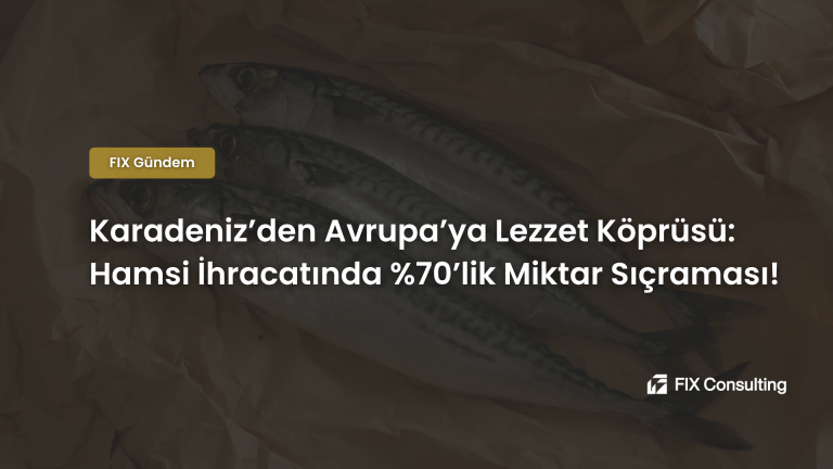 Karadeniz'den Avrupa'ya Lezzet Köprüsü: Hamsi İhracatında %70'lik Miktar Sıçraması!