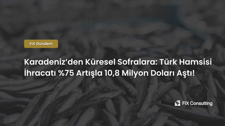 Karadeniz'den Küresel Sofralara: Türk Hamsisi İhracatı %75 Artışla 10,8 Milyon Doları Aştı!