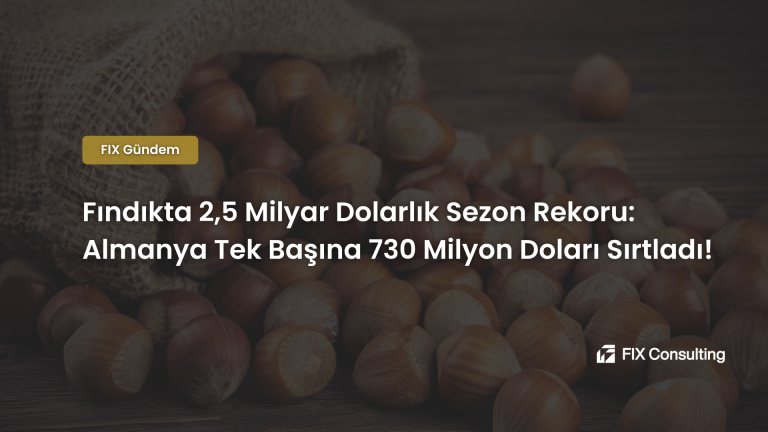 Fındıkta 2,5 Milyar Dolarlık Sezon Rekoru: Almanya Tek Başına 730 Milyon Doları Sırtladı!